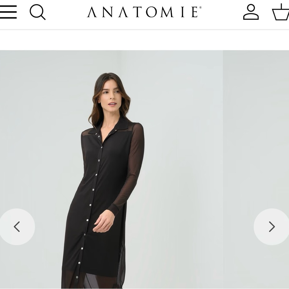 Anatomie Elegant Black Mesh Luxury Dress